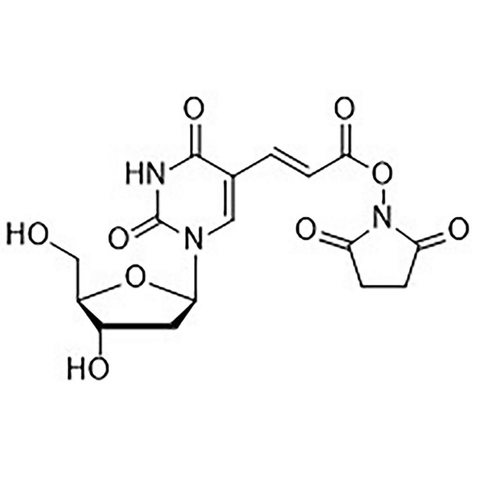 (E)-5-[2-Carboxyvinyl]-2'-deoxyuridine N-Hydroxysuccinimide Ester